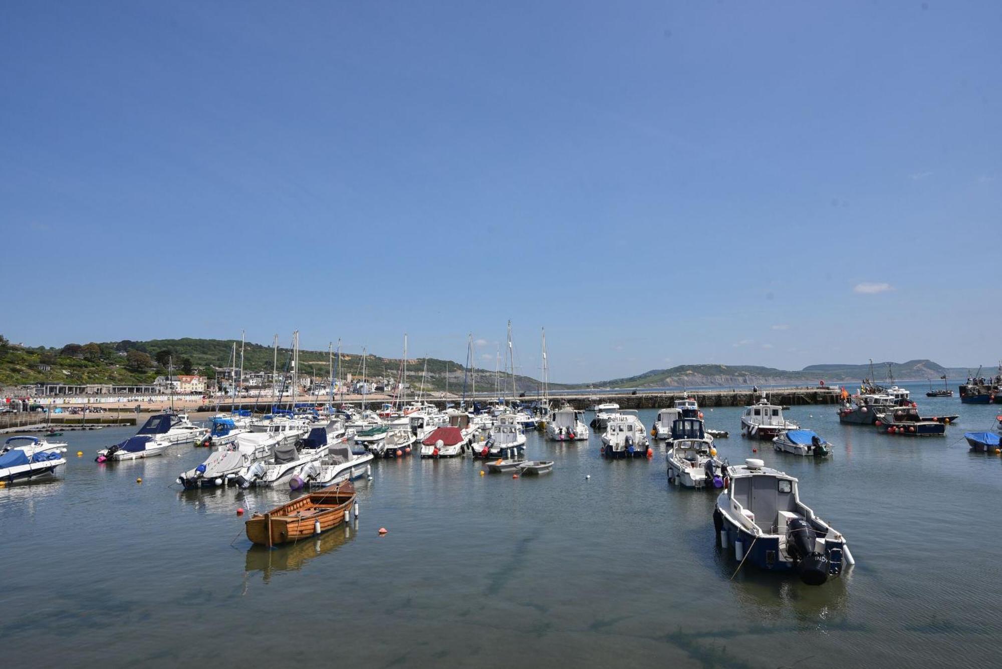 Lyme Views Apartment Lyme Regis Bagian luar foto